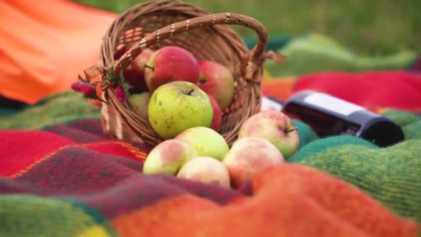 秋のピクニックは 自然環境でオーガニック料理を楽しむ機会です 農業からの美味しくて新鮮な果物は ピクニックをさらに魅力的にします 高品質のフルHd映像 — ストック動画
