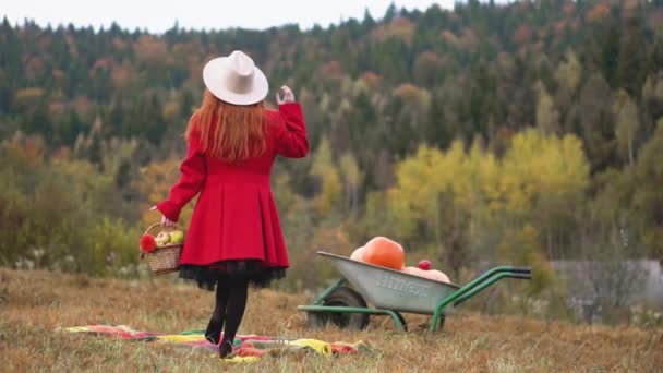 果物と野菜の自然のピクニックは 健康的な食事と自然の収穫の秋を楽しむことの重要性を強調しています ピクニックで果物や野菜のバスケットを持つ赤い服の女性 — ストック動画