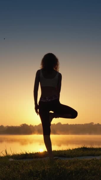 日出日落时 纤细女子在海岸上沉思的轮廓通过大自然的瑜珈增强柔韧性和身体力量 垂直格式的视频 优质Fullhd影片 — 图库视频影像
