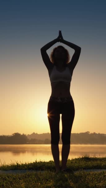 Approfondir Connexion Avec Nature Par Yoga Méditation Une Femme Pratique — Video