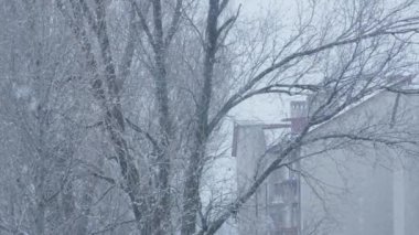 Kış Senfonisi: Kışın doğa, karla kaplı ağaçların ahenkli şehir manzarasını çerçevelediklerinde kucaklaşır. Daire penceresinin dışında kar yağışı var. Bahçeye bir rüya düşer, karla süpürür