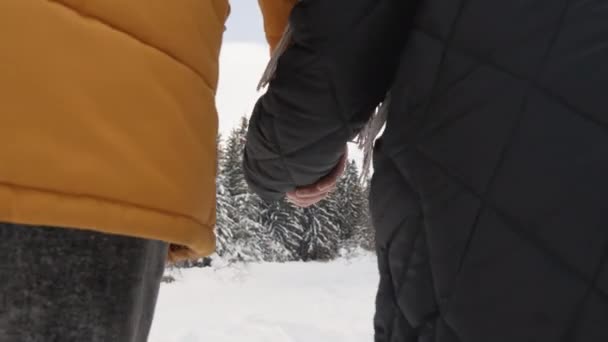 Manželé Drží Ruce Pozadí Sněhu Společně Zažívají Dobrodružství Která Posilují — Stock video