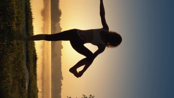 Yoga Einklang Mit Der Natur Balance Von Körper Und Seele — Stockvideo