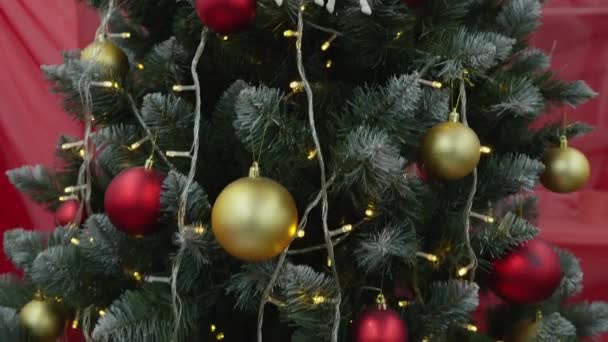 クリスマスの気分は 細部に輝く装飾 カラフルなガーランドと暖かい雰囲気です クリスマスツリーの下には このクリスマスに喜びと驚きを与える準備ができている贈り物があります アメリカ合衆国大統領 — ストック動画