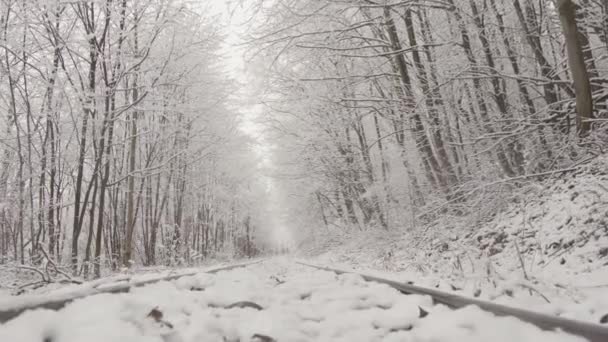 冬の服装の神秘的な森 冬は雪の木々の間を歩いています きれいな雪と木は白いふわふわのカバーで体重を減らしました 冬季休暇中の森林景観について 高品質の4K映像 — ストック動画