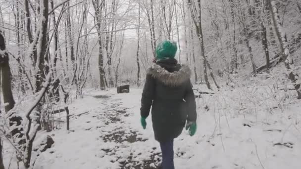 Los Árboles Cubiertos Nieve Proporcionan Fabuloso Telón Fondo Para Esta — Vídeos de Stock