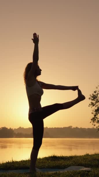 Une Femme Pratique Yoga Dans Tranquillité Nature Pour Maintenir Santé — Video