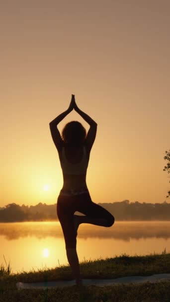 Repos Concentration Rituel Yoga Dans Vie Une Femme Moderne Façon — Video