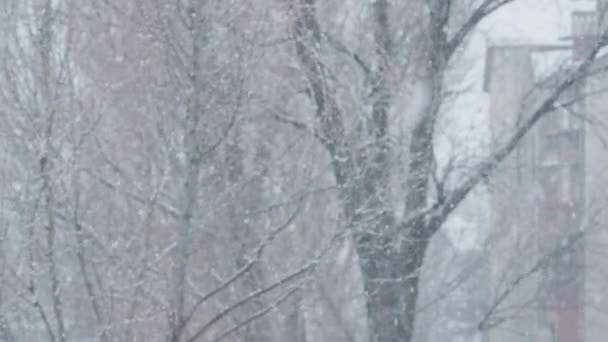 Πόλη Καλύπτεται Μια Λευκή Κουβέρτα Από Βαριά Χιονόπτωση Χειμώνα Χιονισμένα — Αρχείο Βίντεο