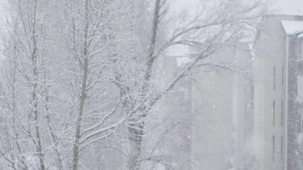 Заснеженный Город Зимой Снегопад Городе Среди Домов Зимний Фон Снегопад — стоковое видео