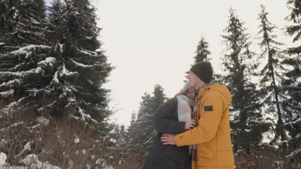 Ein Gemeinsamer Spaziergang Durch Einen Verschneiten Wald Gibt Dem Paar — Stockvideo