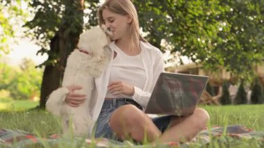 Rahatlamış öğrenme ve rahatlama: Genç bir kız öğrenci internette alışveriş yaparken parktan, laptoptan ve sadık bir köpekten hoşlanıyor. Adam küçük köpeğiyle oynuyor, kız da kızı yalıyor. Yüksek kalite 4k görüntü