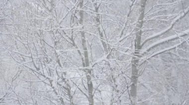 Pencereden kar yağışına baktığınızda, doğanın kar tabakalarıyla kaplı olduğunu, inanılmaz güzel bir manzara yarattığını görürsünüz. Karla kaplı ağaçlar. Kar yağışı arka planı. Yüksek kalite 4k