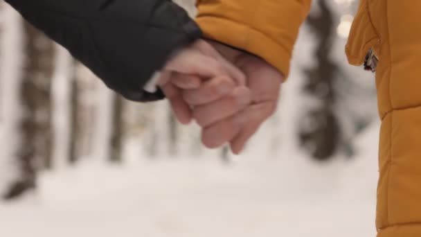 カップルは自然の中で一緒に時間を過ごし 冬の暖かさと相互の幸せの雰囲気を楽しんでいます 手を閉じている男と女 高品質の4K映像 — ストック動画