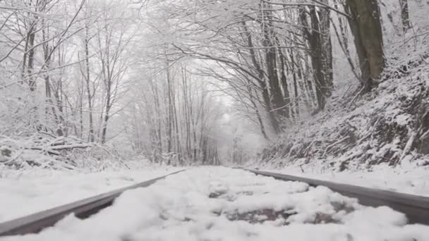 覆盖着白雪的森林和冬天的自然和谐 冬季森林的宁静与美丽 冬天森林的宁静与美丽 铁路森林冬季轨道 12月 1月或 — 图库视频影像