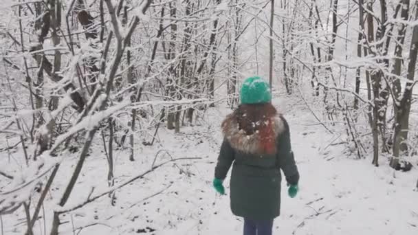 Bosque Cubierto Nieve Convirtió Lugar Para Paseo Tranquilo Para Una — Vídeo de stock