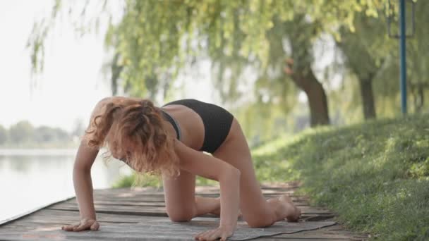 Praticare Yoga All Aperto Aiuta Mantenere Salute Armonia Delle Donne — Video Stock