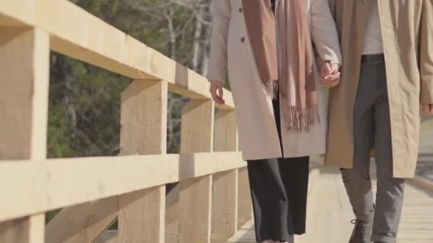 Köprüden Geçerken Doğanın Iki Kalbin Birleşiminin Tadını Çıkarın Sevgi Duygusunu — Stok video