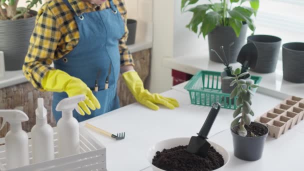 Bir Kadın Bahçıvan Bitkileriyle Çalışmaya Hazırlanıyor Vazna Saksıları Nakletmek Için — Stok video