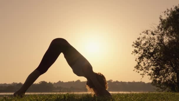Geniet Van Het Buitenleven Behoud Gezondheid Welzijn Rustige Yoga Aan — Stockvideo