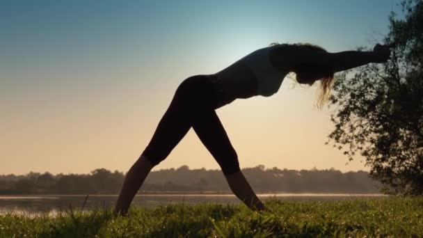 Gezonde Lifestyle Keuzes Yoga Oefeningen Een Natuurlijke Omgeving Voor Ontspanning — Stockvideo
