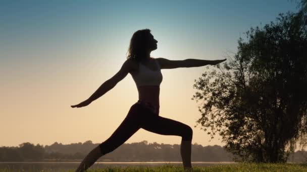 Kostenlose Übungen Für Alle Outdoor Yoga Kurse Für Alle Altersgruppen — Stockvideo