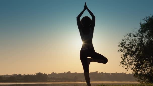 Pase Verano Armonía Con Naturaleza Mantenga Salud Bienestar Con Yoga — Vídeos de Stock
