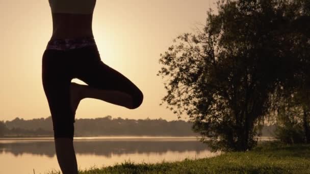 Ricerca Pace Armonia Esercizi Yoga Sullo Sfondo Della Natura Fiore — Video Stock