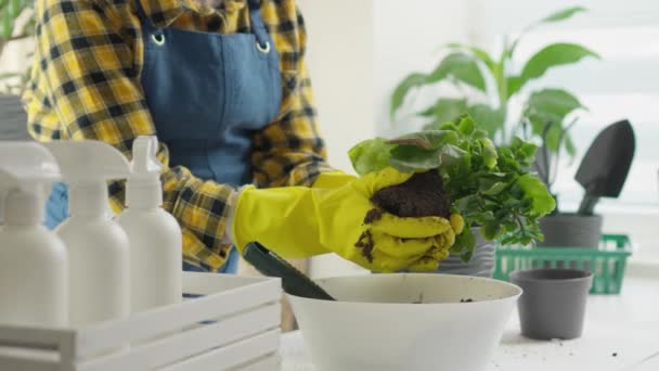Een Milieubewuste Tuinman Gebruikt Biovelden Voor Zijn Planten Zorgen Hij — Stockvideo