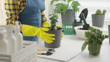 Baharın gelmesiyle birlikte bahçıvan bitkileri naklederek yeni bir büyüme mevsimi başlattı. Uyumlu kompozisyonlar yaratıyor, her detayla ilgileniyor ve bitkilerini mutlu ediyor. Yüksek kalite