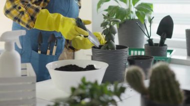 Egzotik bitkilerin aşığı kendi koleksiyonunu oluşturur. Her numuneyi dikkatlice diker ve onunla ilgilenir. Bilim merkezi, bitki naklinin etkileri üzerine bir araştırma yürütüyor.