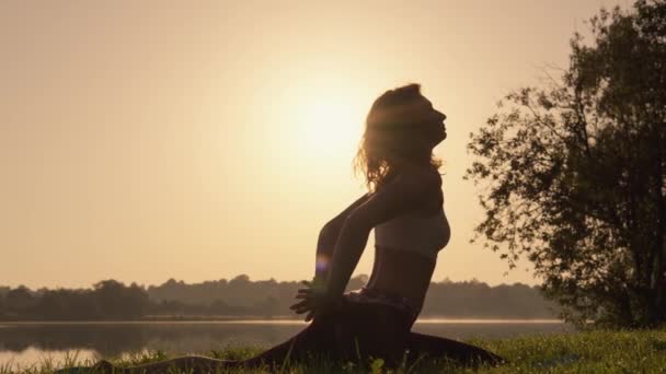 Restaurer Force Harmonie Immersion Dans Pratique Méditative Yoga Dans Environnement — Video