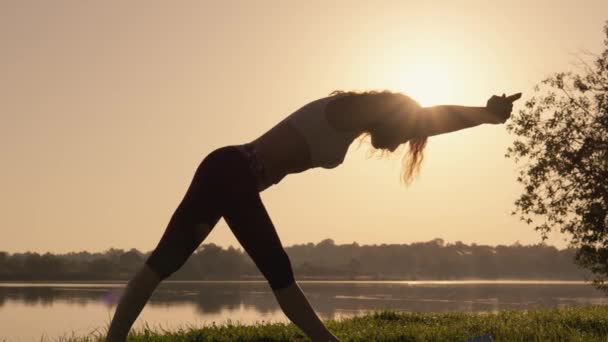 Gezondheid Geluk Ontspanning Tijdens Yoga Met Natuur Achtergrond Vrouwelijke Essentie — Stockvideo