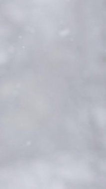 Yumuşak kar tanelerinin düştüğü, ruhu yatıştıran ve sizi serin havanın tadını çıkarmaya davet eden sakin ve büyülü bir kış atmosferi yaratan karlı bir arazinin dingin cazibesini deneyimleyin.
