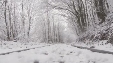 Sakin bir ormanda süzülen karla kaplı tren raylarının nefes kesici manzarası doğanın ihtişamını gözler önüne seren büyüleyici bir kış harikalar diyarı yaratıyor.