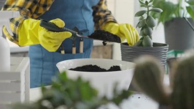 Eldiven takan bir bahçıvan, yakınlardaki bir kasenin zengin toprağını kullanarak süsleme kabının içine sulu bir şey yerleştirir. Yeşillik dolu bu ev ortamında ev bitkilerini beslemenin keyfi gözler önüne seriliyor.