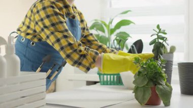 İşaretli gömleği ve önlüğü olan kendini işine adamış bir bahçıvan, dekoratif saksılarda canlı ev bitkileriyle ilgilenir. Kapalı alanda yeşillik yetiştirme sanatını detaylara özen ve özen göstererek sergiler.