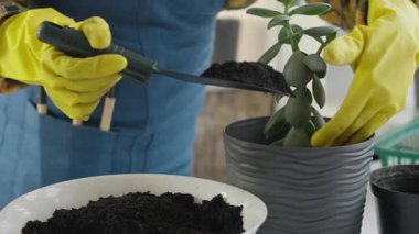 Tutkulu bir bahçıvan, eldiven giyer, verimli toprağı gelişmekte olan bir saksı sulandırıcısına ekler, iç ekim sanatını ve yetiştirme ve bahçıvanlık konularını ön plana çıkarır.