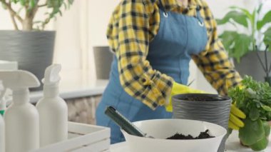 Sarı eldivenli ve mavi önlüklü bir birey ev bitkileriyle dikkatlice ilgileniyor, onları dekoratif çömleklerle besliyor, kapalı alanda bahçe düzenlemenin neşe ve güzelliğini tatmin edici bir hobi olarak gösteriyor.