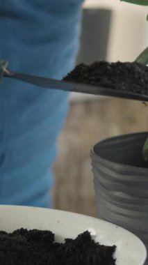 Tutkulu bir bahçıvan, eldiven giyer, verimli toprağı gelişmekte olan bir saksı sulandırıcısına ekler, iç ekim sanatını ve yetiştirme ve bahçıvanlık konularını ön plana çıkarır.