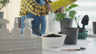 Canlı bir kapalı alanda, sarı eldivenli yetenekli bir bahçıvan bitkileri taze çömleklere dönüştürüyor, etkili saksı teknikleri gösteriyor ve sağlıkları için gerekli bakımı sağlıyor.