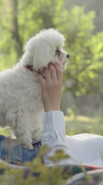 Bir kadın, rahat, yumuşak bir battaniyenin üzerinde uzanır yemyeşil ve gür bir parka yayılmış, tüylü köpeği neşe içinde onunla etkileşim kurarken ve onunla oynarken sıcak güneşin tadını çıkarır.