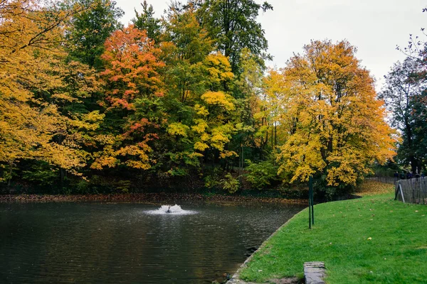 Брюссель Бельгия Парк Оссегем Лакен Осенью — стоковое фото