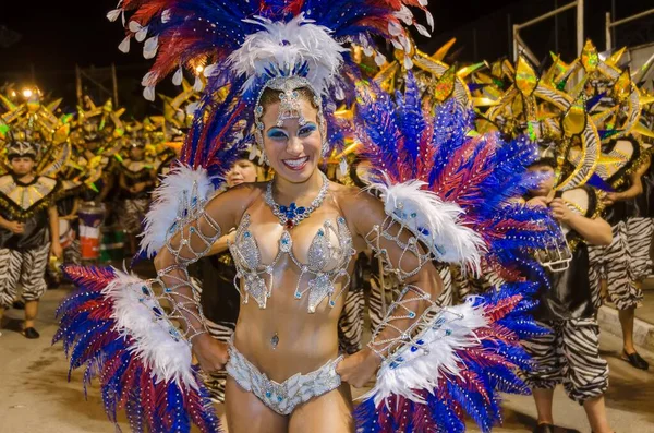 Karneval Městě Santos Brazílie Portrét Královny Bubnů Školy Imperio Vila — Stock fotografie