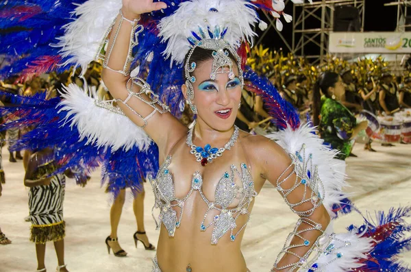 Carnaval Cidade Santos Brasil Retrato Rainha Dos Tambores Escola Samba — Fotografia de Stock