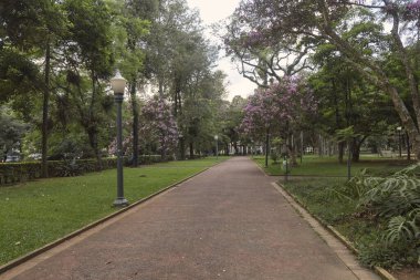Veu das Noivas Waterfall. Bridal Veil. Pocos de Caldas, Minas Gerais, Brazil. Ribeiro das Antas river. Long exposure photography. 