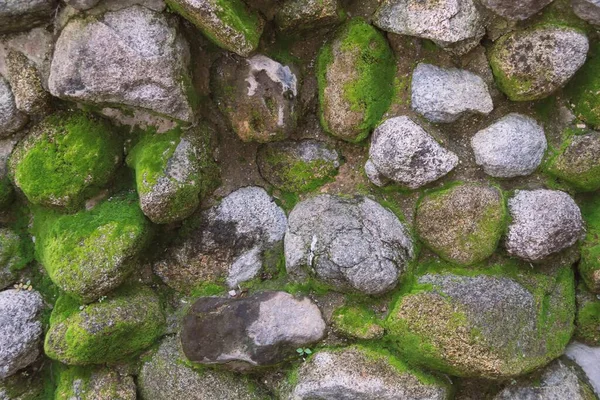 Wall made with river stones with green slime.