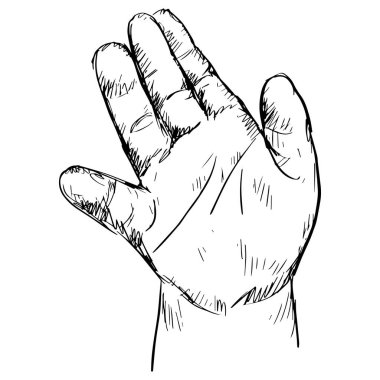 Baby Hand. Human hands sketch drawing illustration.