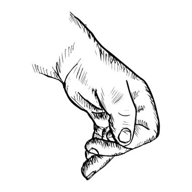 Baby Hand. Human hands sketch drawing illustration.