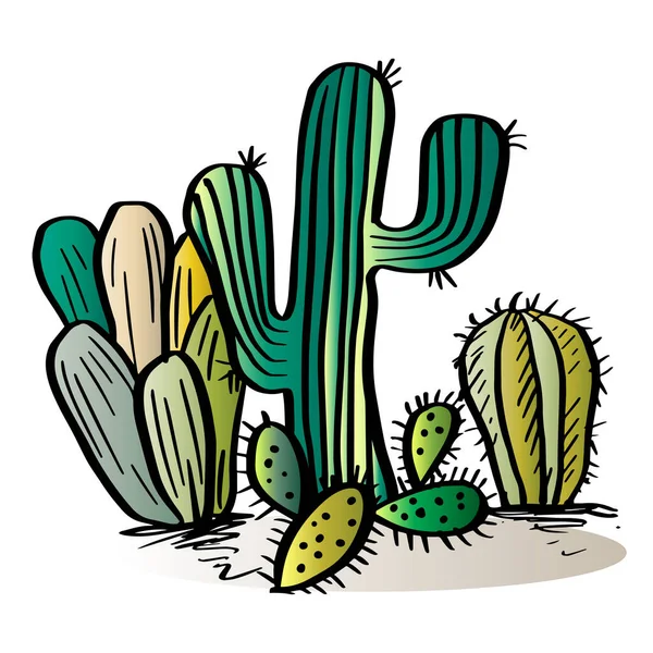 Ręcznie Rysowane Kaktusy Doodle Ilustracja — Wektor stockowy